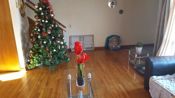Circle Towne Homes: 1123 Catalpa Cir, Madison, WI 53713